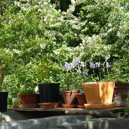 Bed & Breakfast Il Melograno *