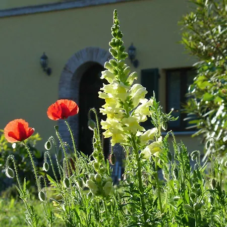 Il Melograno *