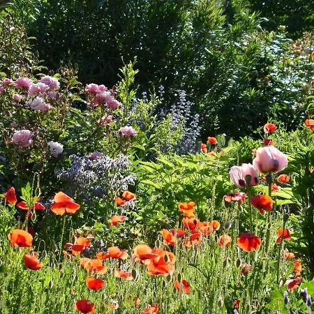 Bed & Breakfast Il Melograno