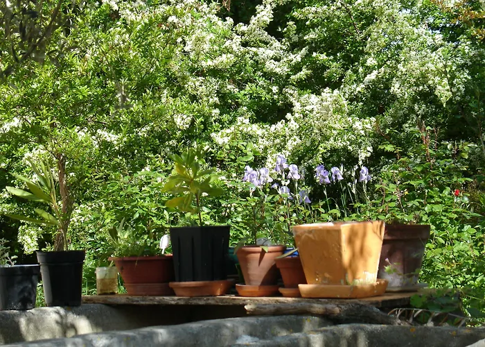 Alojamento de Acomodação e Pequeno-almoço Il Melograno *