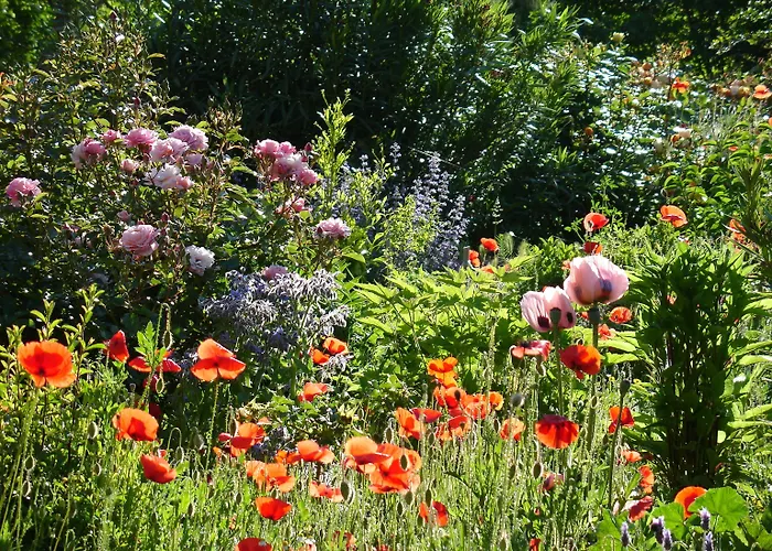 Alojamento de Acomodação e Pequeno-almoço Il Melograno