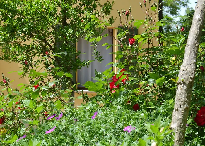 Alojamento de Acomodação e Pequeno-almoço Il Melograno *