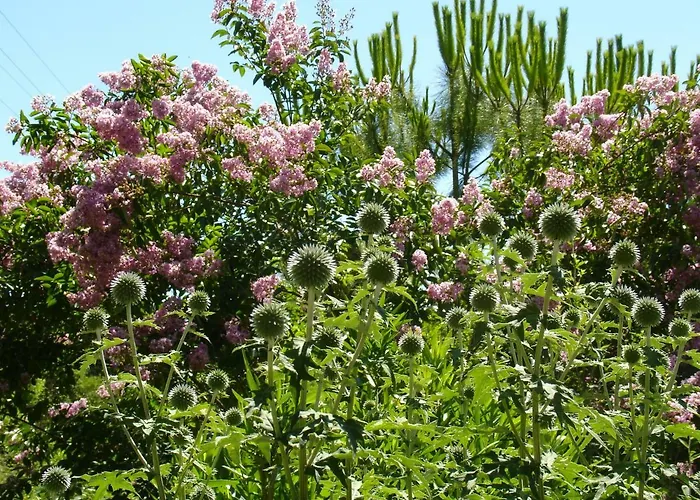 Il Melograno Alojamento de Acomodação e Pequeno-almoço *
